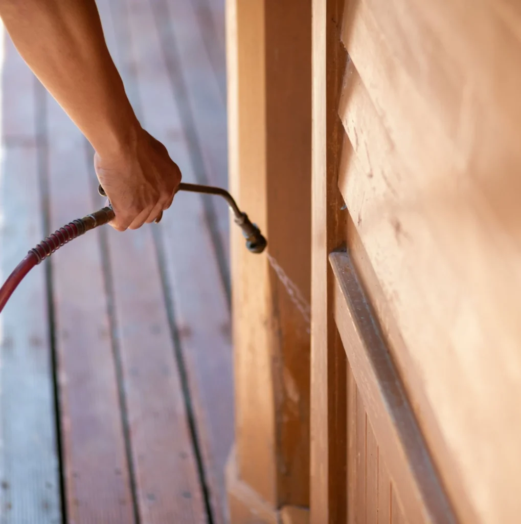 Trusted Pest Control - Maspeth Pest Control Pros | Maspeth, NY | 201-389-5487